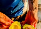 VanLife-saladesFruitsAvocats 00002